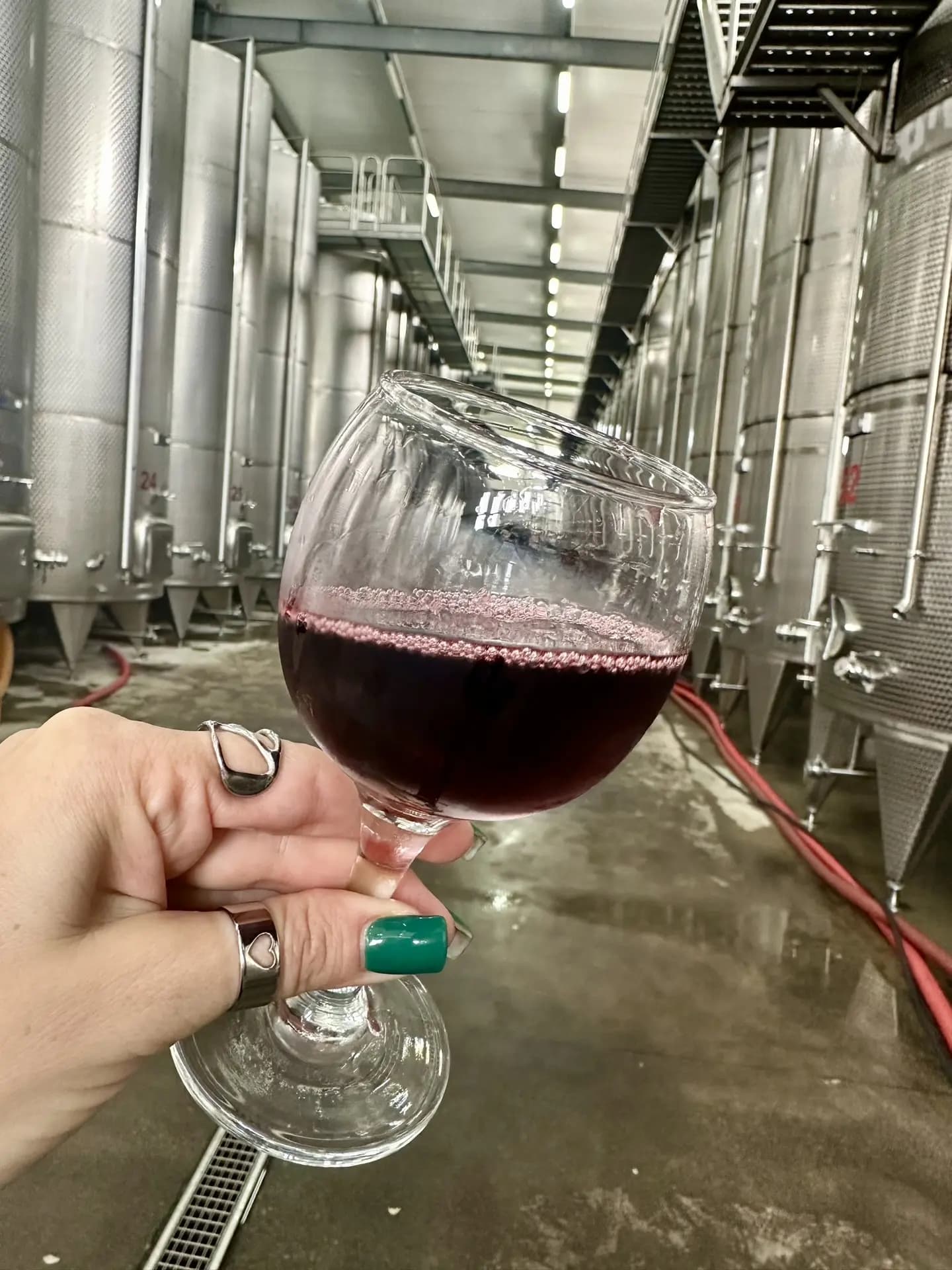 ГРУЗИЯ × РИКИ МАРТИН: ТУР «ПОПРОБУЙ НА ВКУС» - фото 2