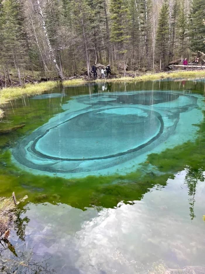 Алтайский обзорный ( 6 дней / 5 ночей ) - фото 8