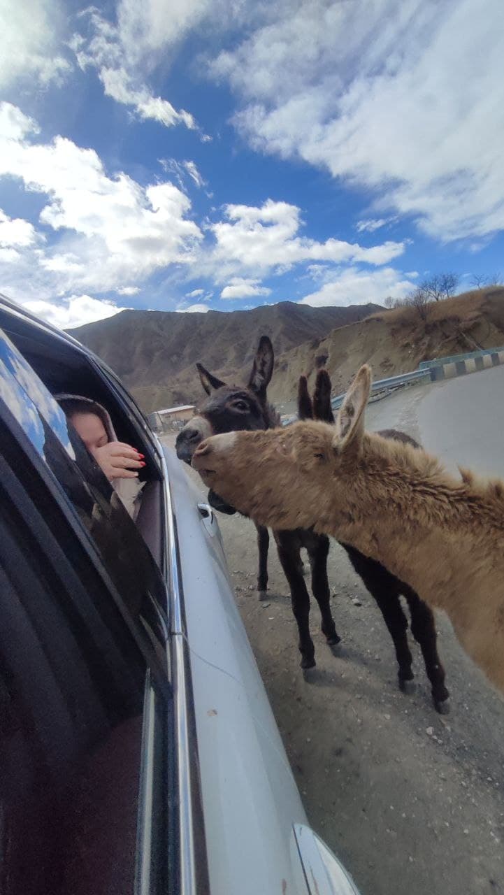 ТУР "ЗНАКОМСТВО С ДАГЕСТАНОМ" - фото 3