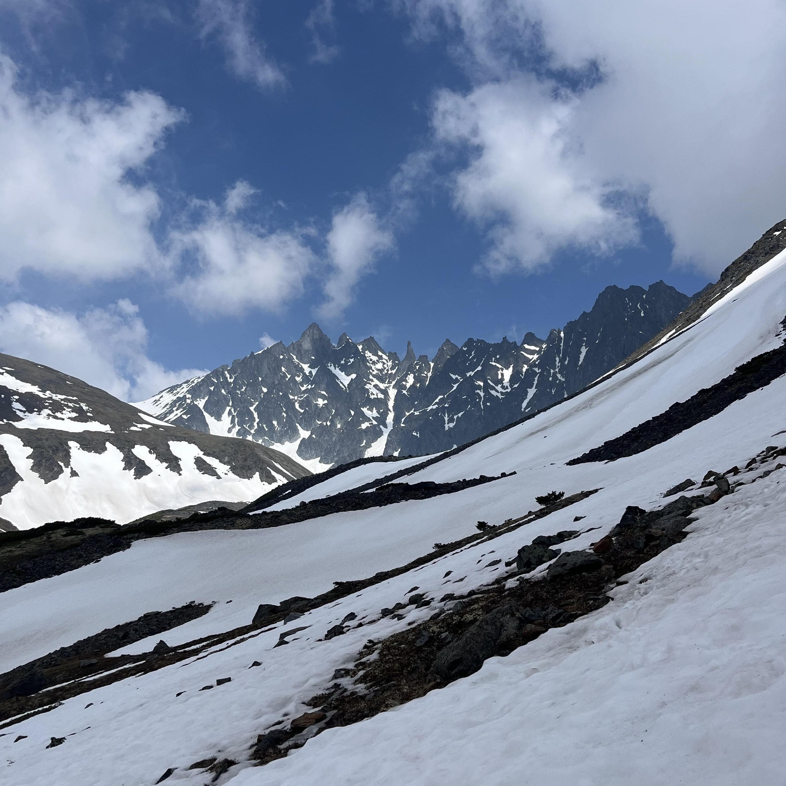 Ганальские востряки - фото 3