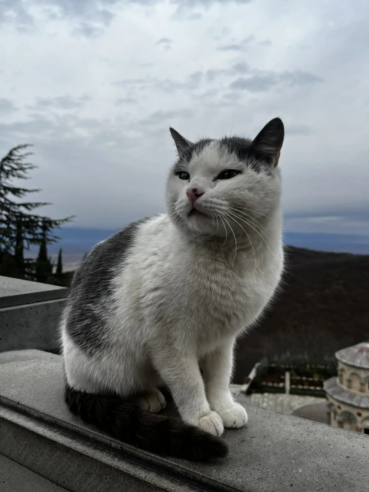 Попробуй Грузию на вкус! - фото 9