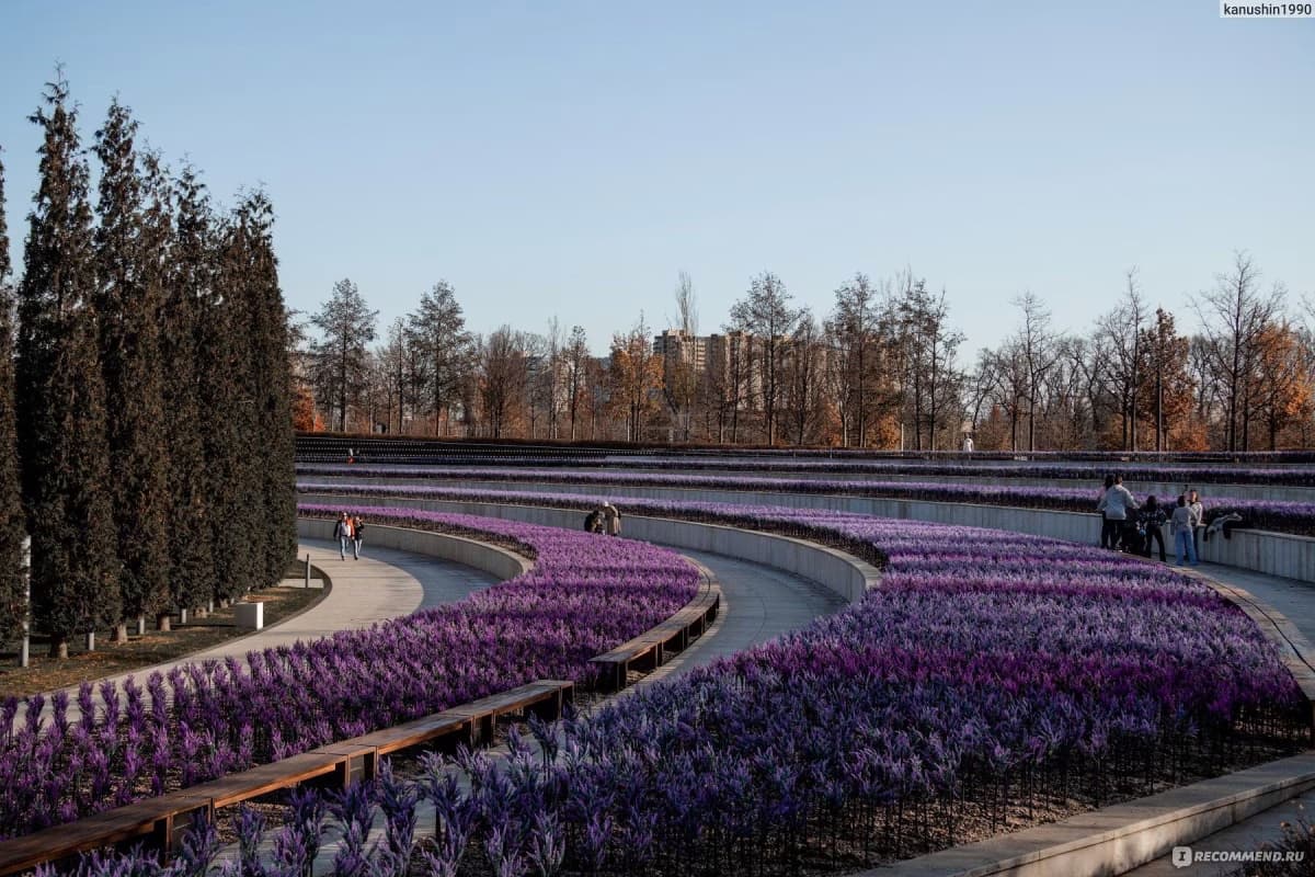 Цветущий Краснодар: парк Галицкого с гарантированным посещением Японского сада - фото 1