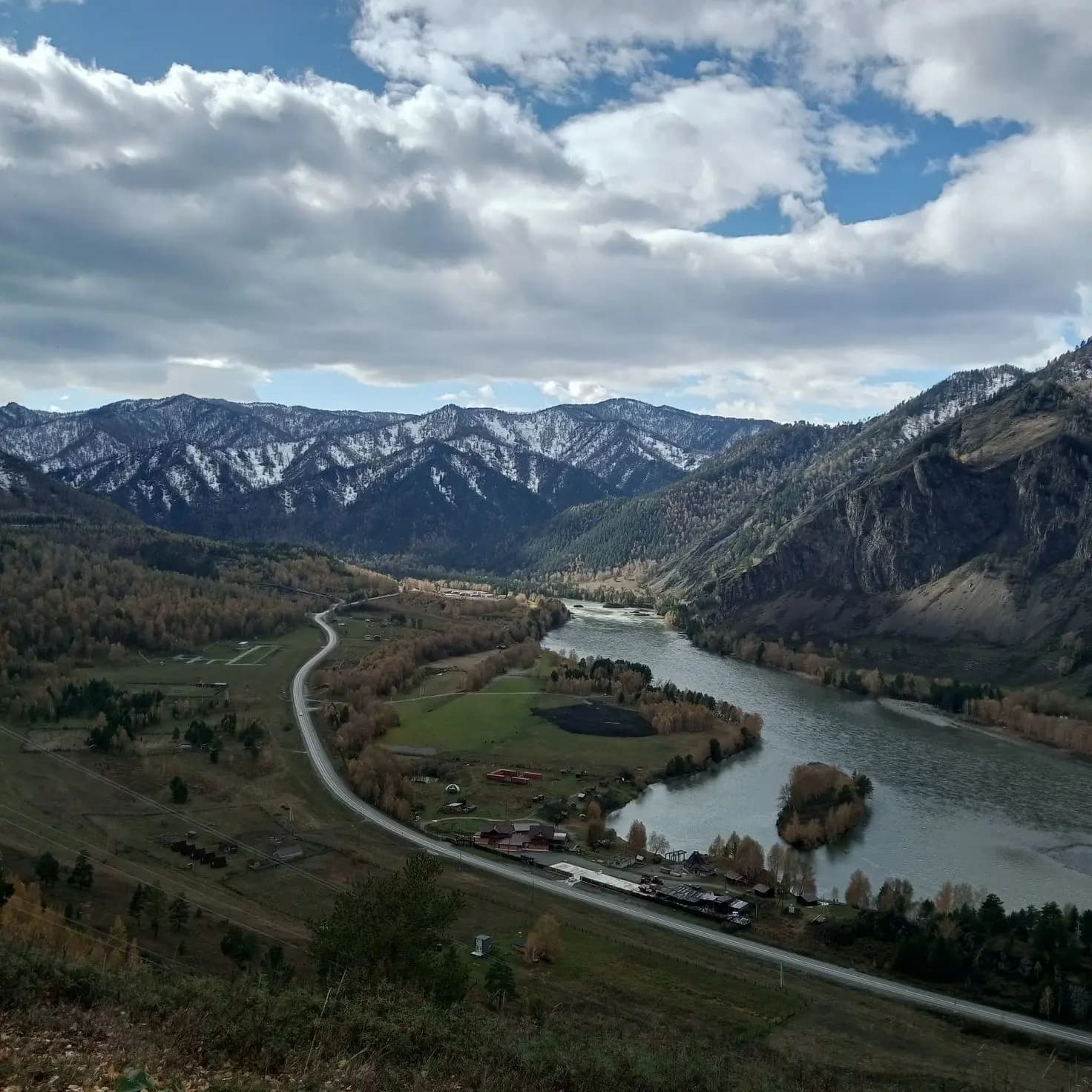 Цветение Маральника на Алтае - фото 4