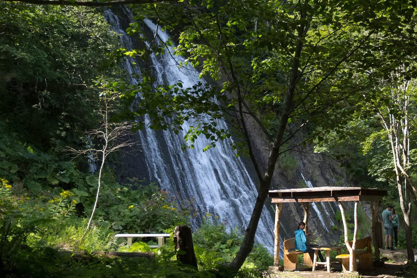 Камчатский Калейдоскоп - фото 2