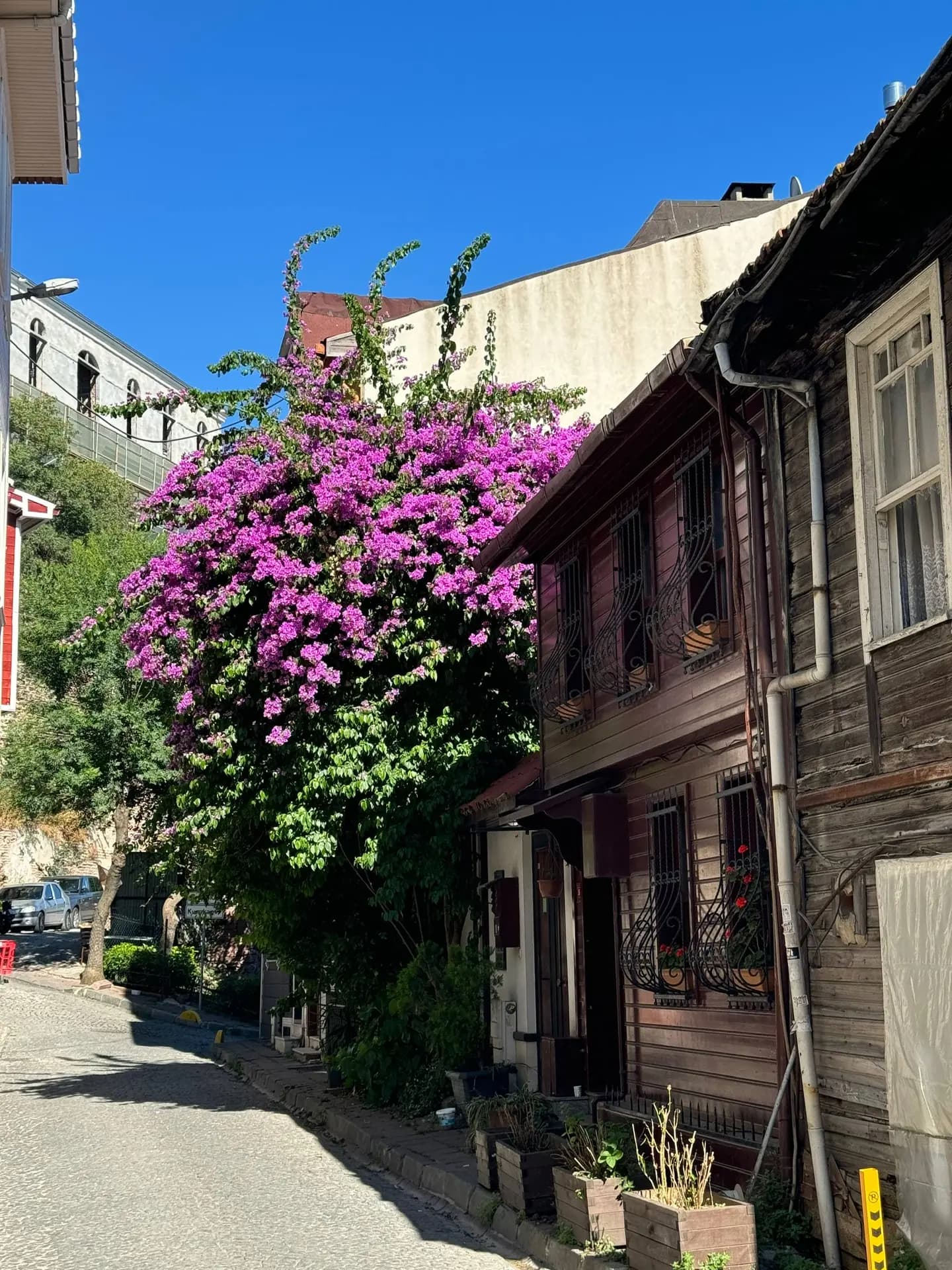 Классический Стамбул: 4 дня в сердце истории Идеальный тур для тех, кто впервые в Стамбуле - фото 10