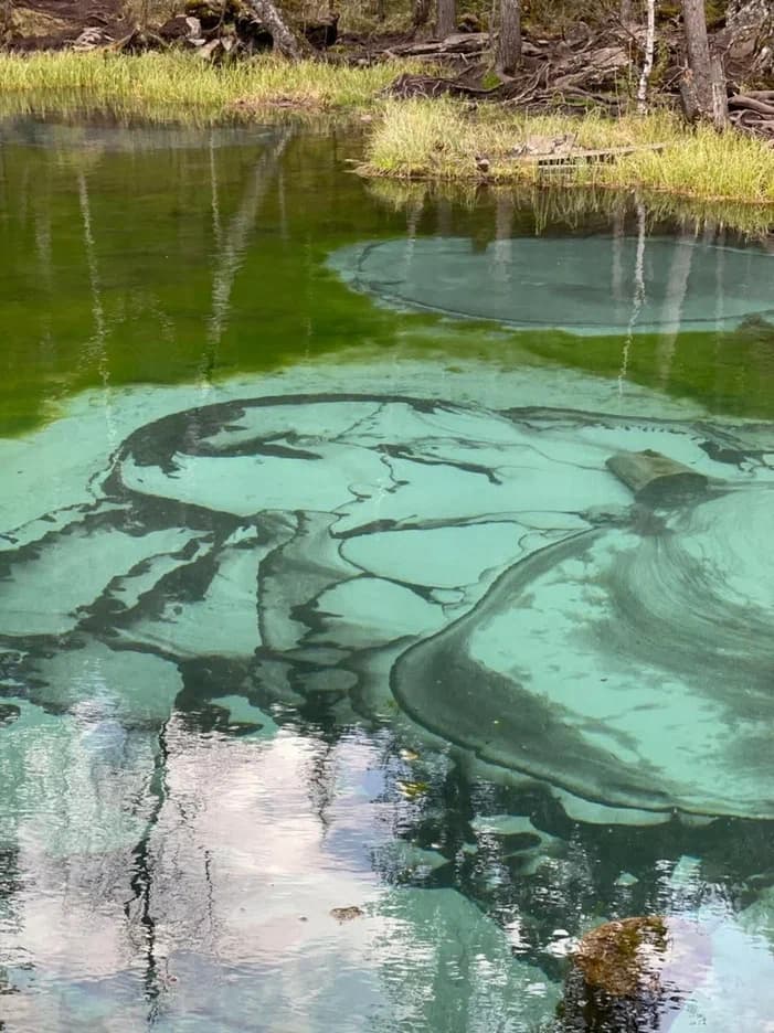 Алтайский обзорный ( 6 дней / 5 ночей ) - фото 3