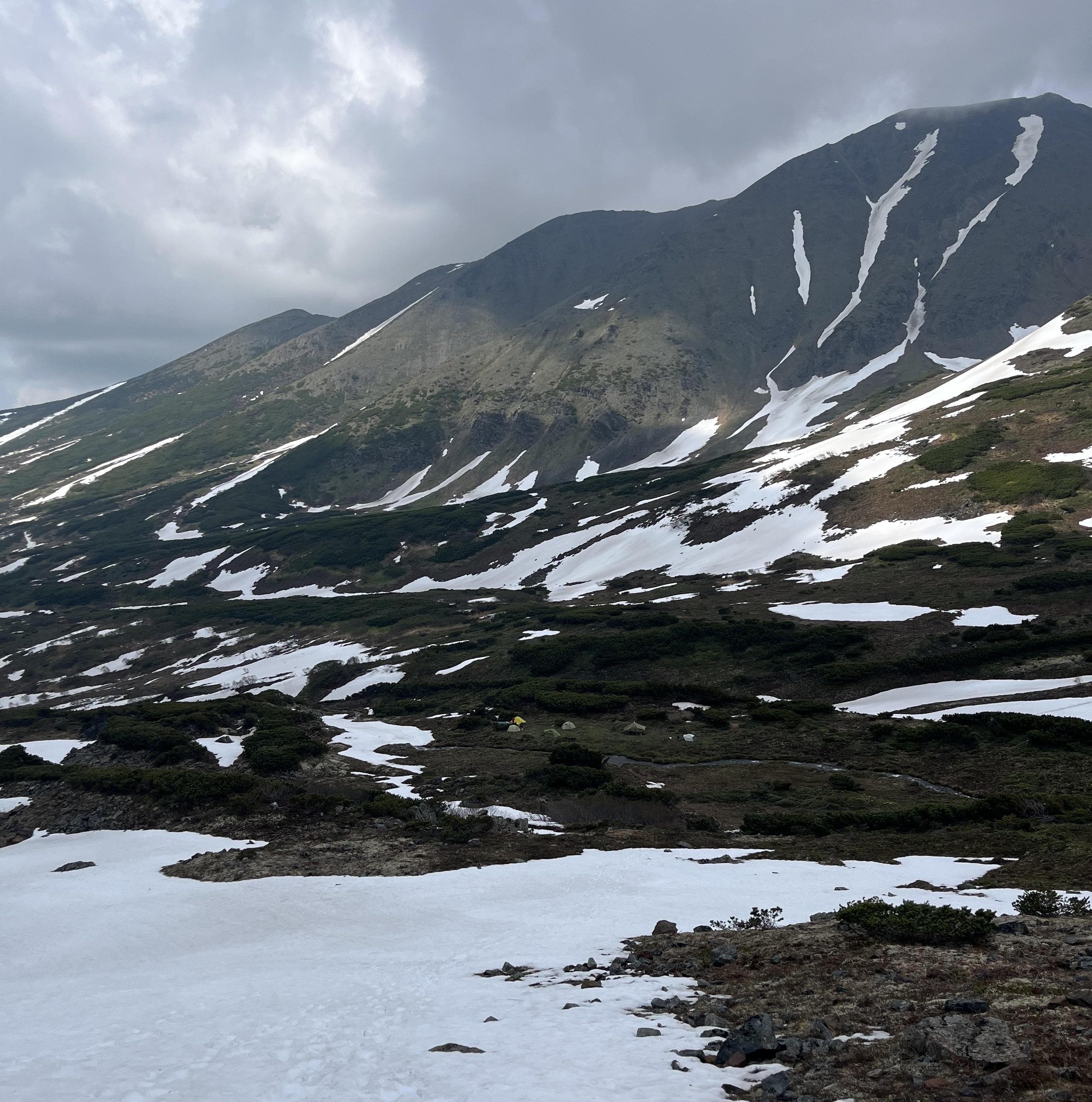 Ганальские востряки - фото 1