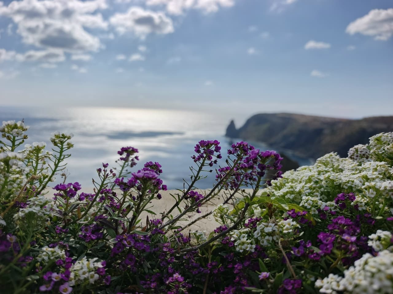 Тур «Крым: Севастополь + Бахчисарай» - фото 1