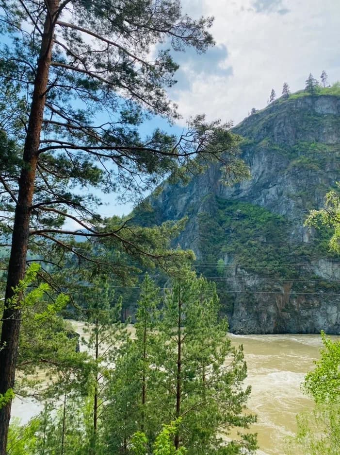 Чемал, Патмос, Чемальская ГЭС (экскурсия для баз в районе оз. Ая) - фото 3