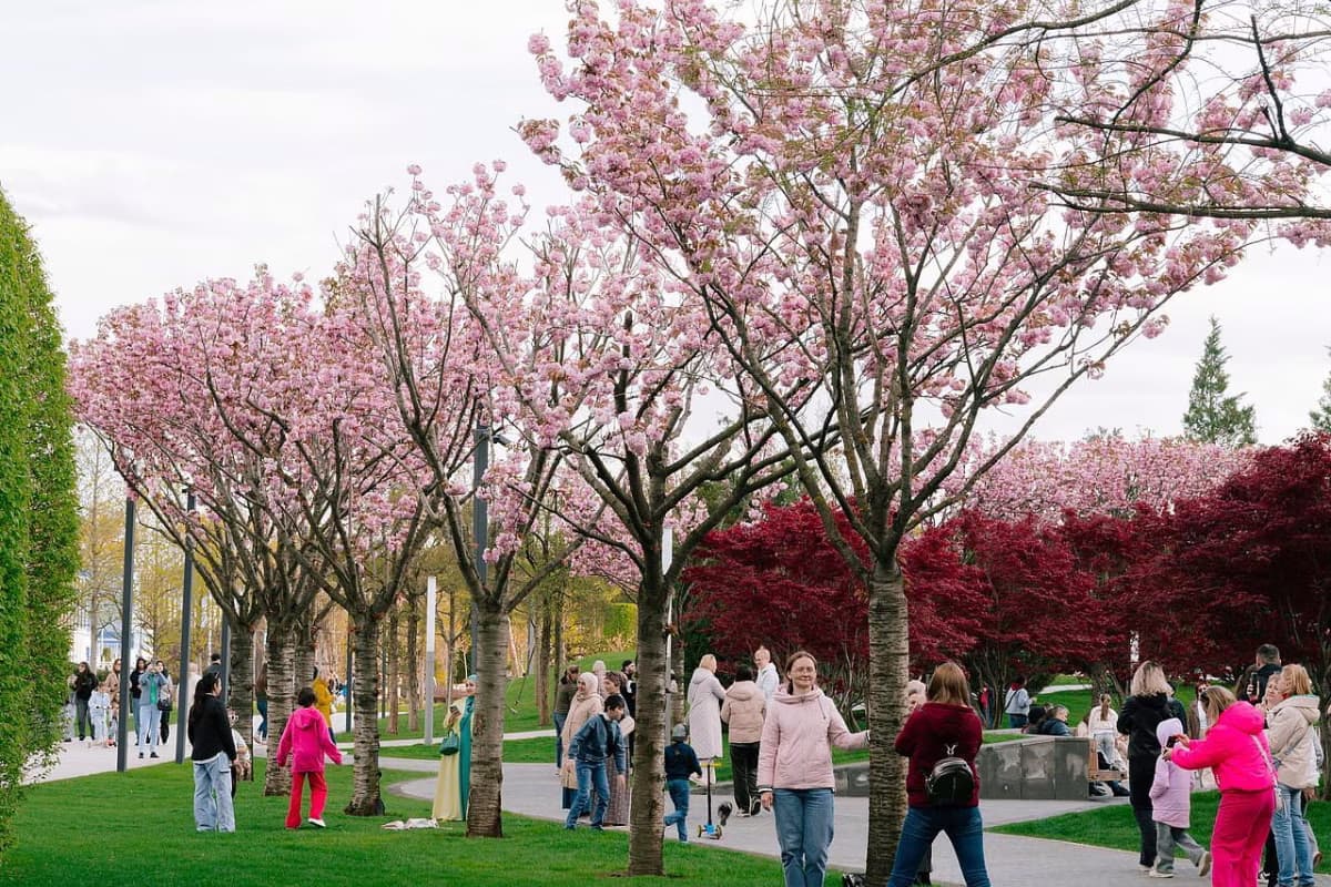 Горячий ключ + цветущий парк Галицкого в Краснодаре - фото 6