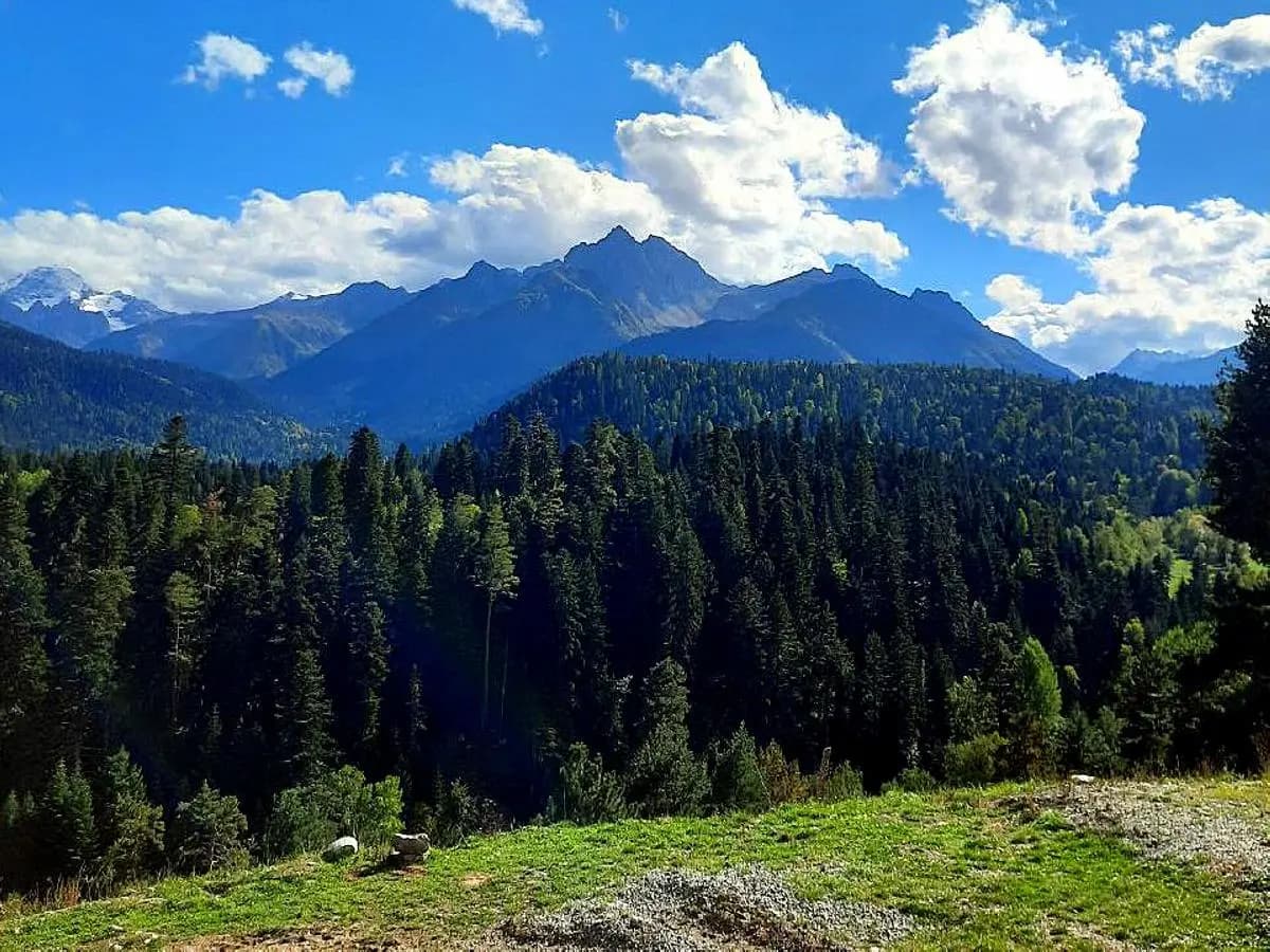 Экскурсионный тур «Сентиментальное путешествие на Воды»