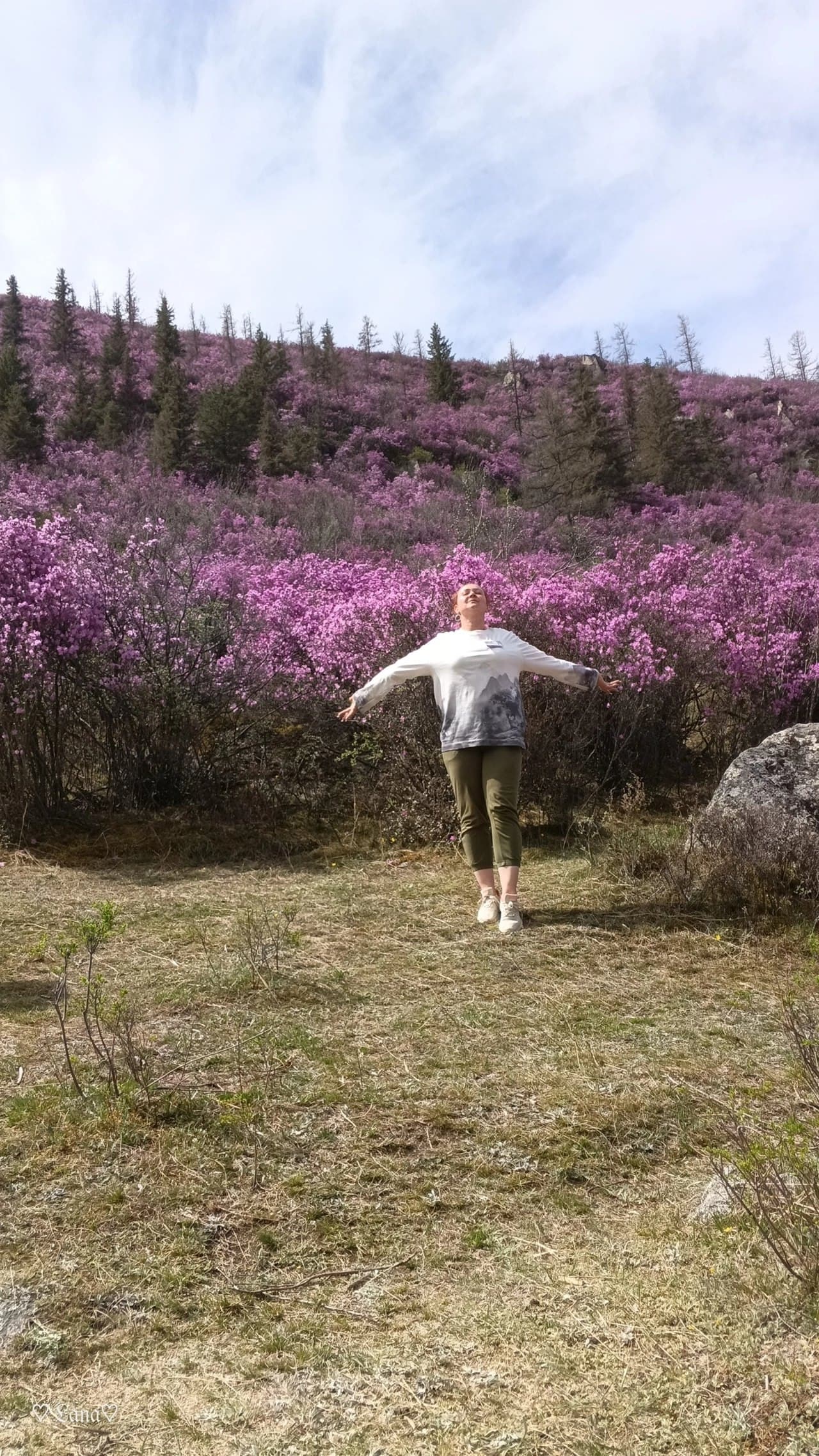 Цветение маральника ( 8 дней / 7 ночей ) - фото 5