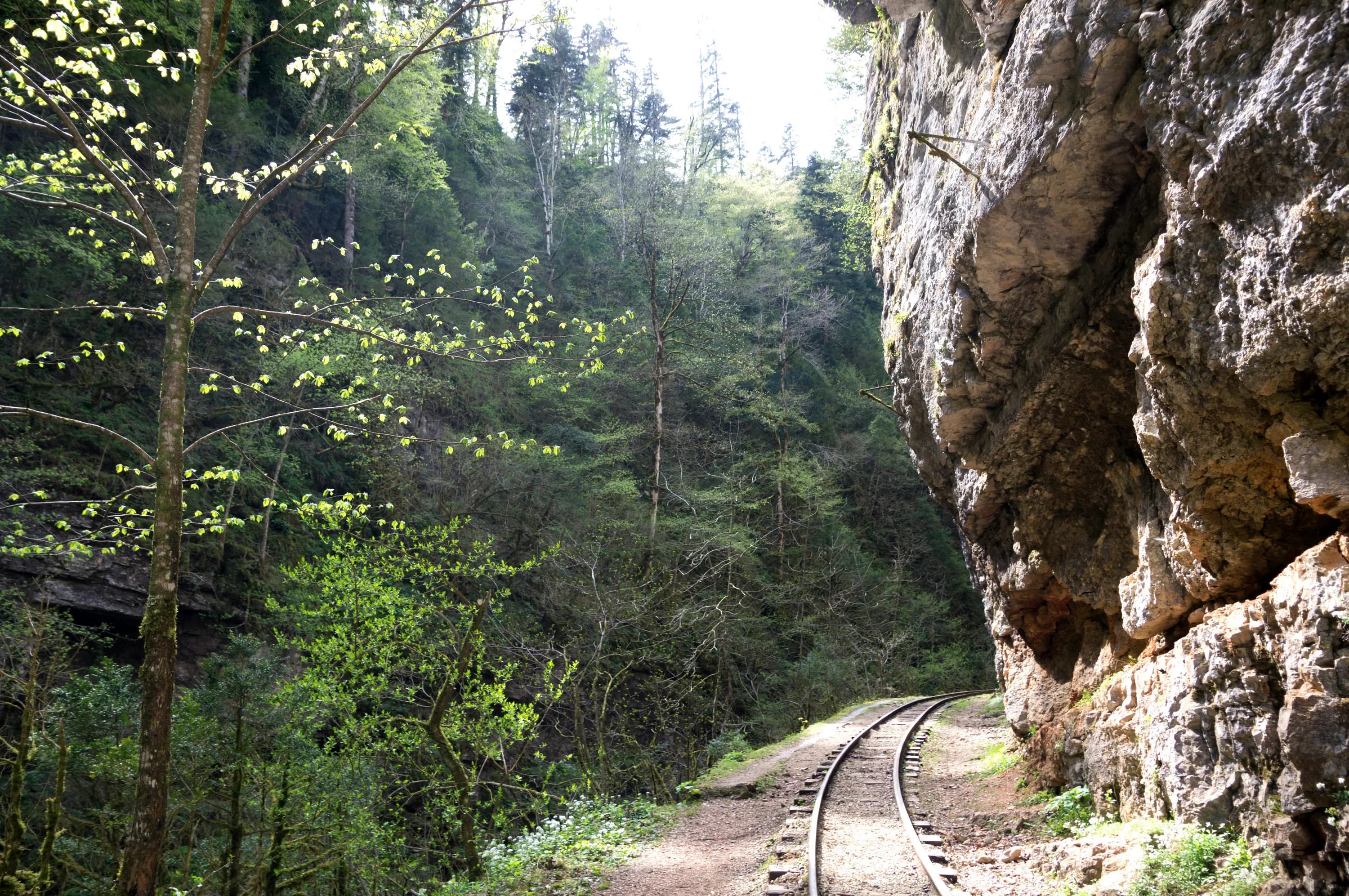 Орлиная полка и гуамское ущелье - фото 4