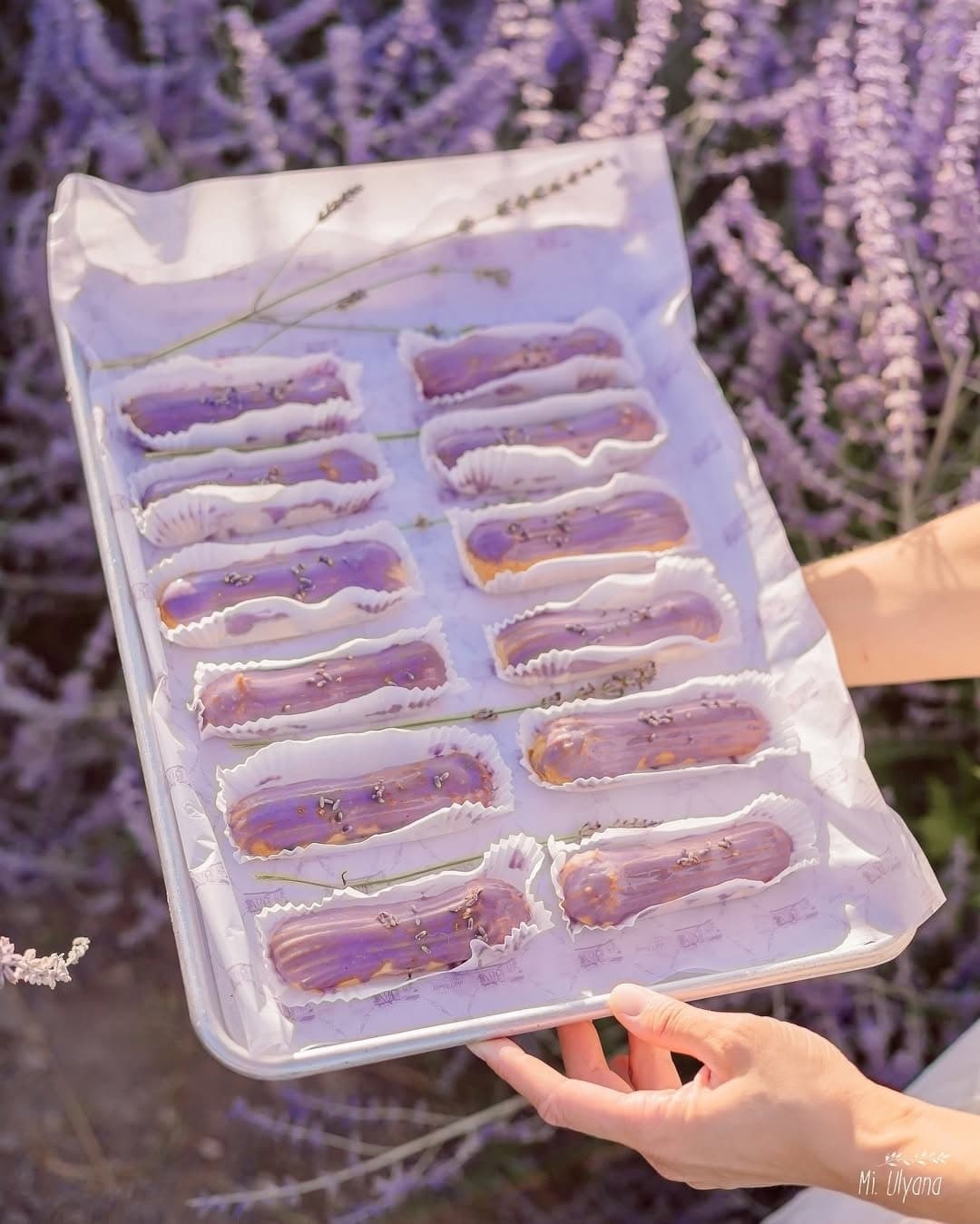 Лавандовое погружение: Арт-путешествие в Анапе - фото 3