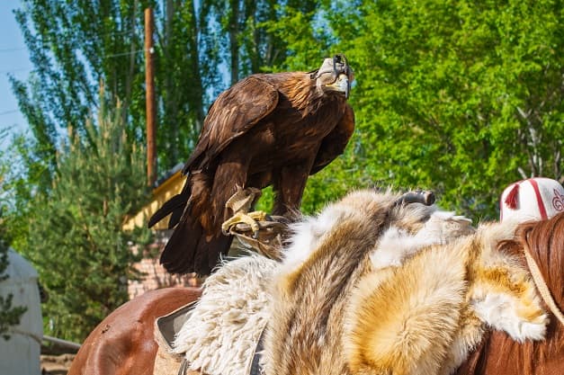 Кыргызстан и Казахстан: горы, озера и источники - фото 5