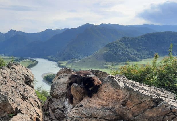 Алтайская коллекция ( 8 дней / 7 ночей ) - фото 2