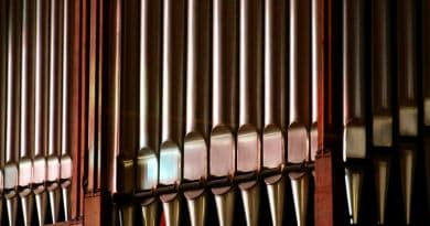 Органный зал в Ливадии + Солнечная тропа + Экскурсия по парку - фото 3