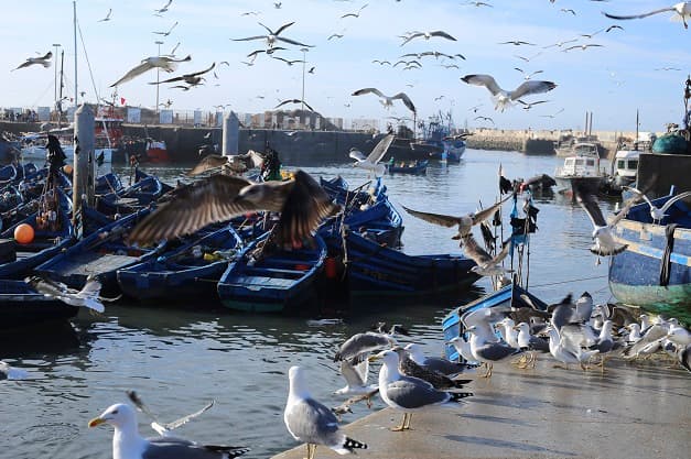 Марокко: восточная сказка наяву - фото 8