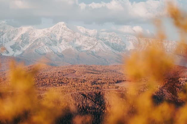 Осенний Алтай - 7 дней среди гор, свободы и эмоций! - фото 6