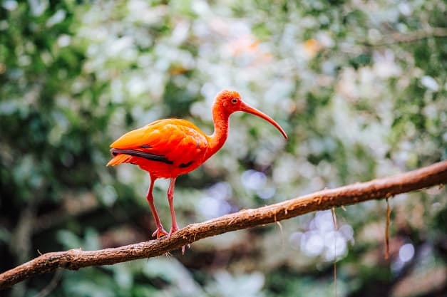 Патагония и Аргентина:От Буэнос-Айреса до края земли - фото 1