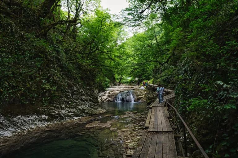 Тур в Абхазию: Гагры, Новый Афон, Сухум 2 дня - фото 7
