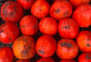 Тур в Грузию: Тбилиси + Кахетия 4 дня - фото 5