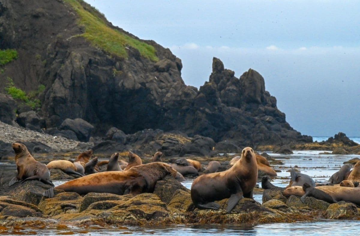 Затерянный мир: Сахалин и Итуруп (комфортный) - фото 5