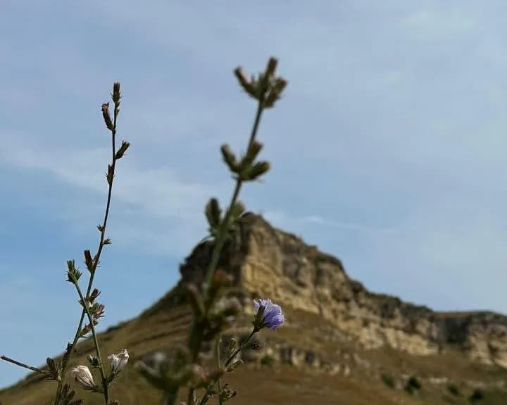 Тур в Кисловодск и Медовые водопады - фото 2