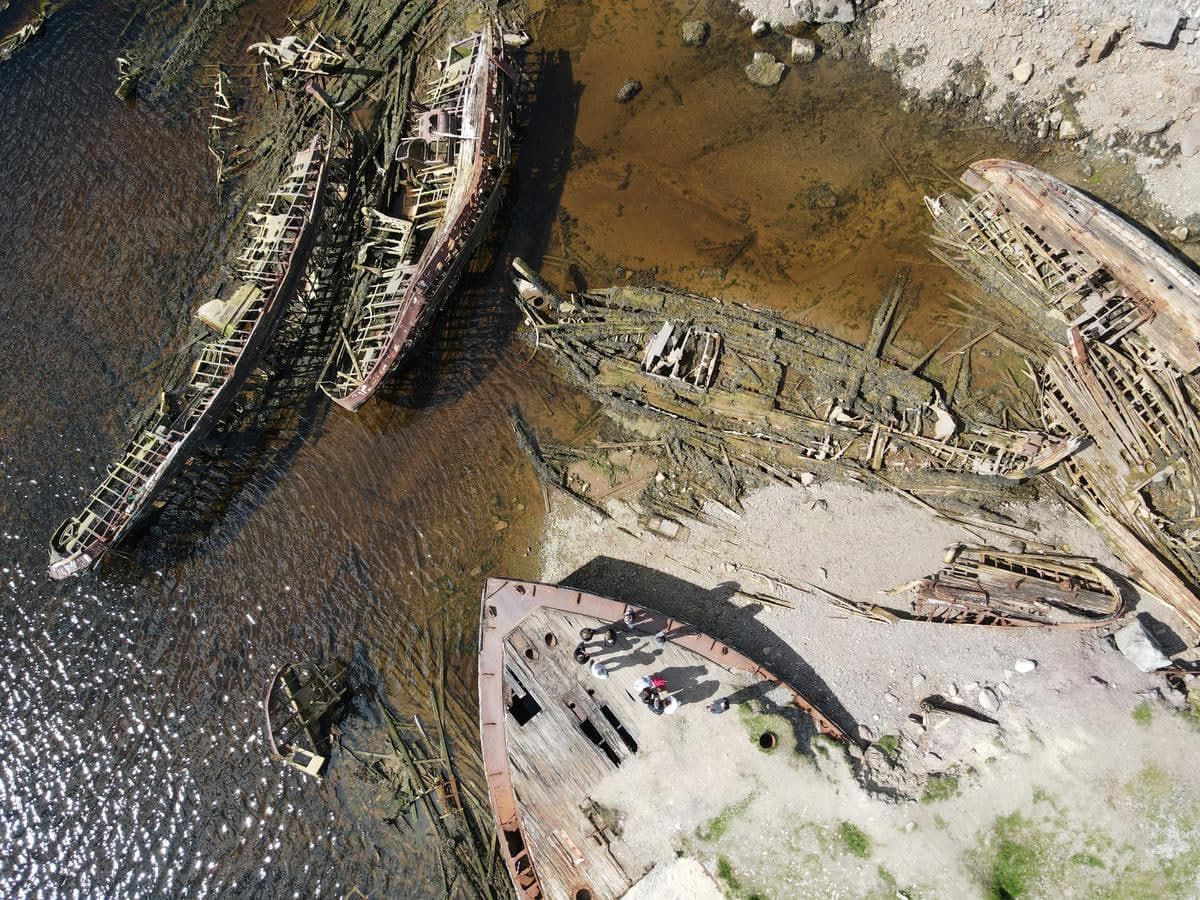 Кольский в гости к китам - фото 9