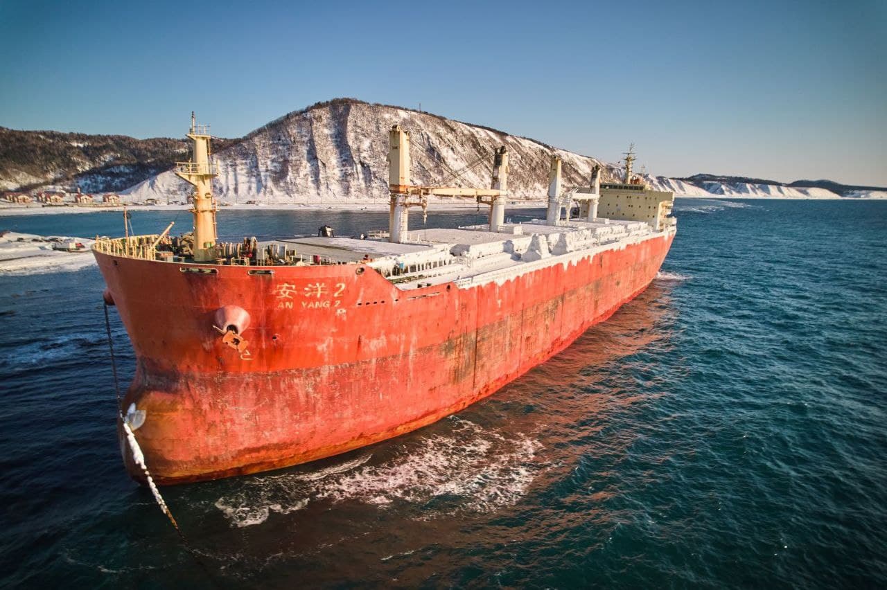 Что за лев этот Сивуч - фото 2