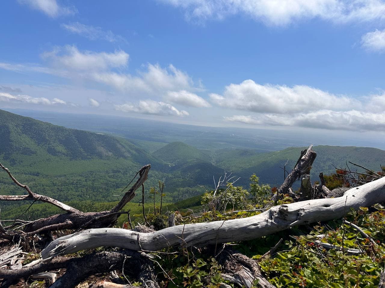 Обзорная экскурсия по Южно-Сахалинску - фото 6