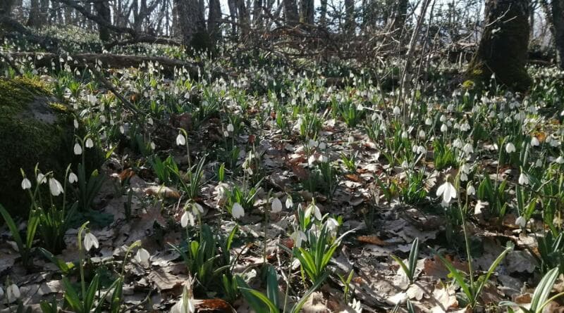 Поход на Аю-Даг (Место Силы). Тайны и загадки горы Медведь - фото 4