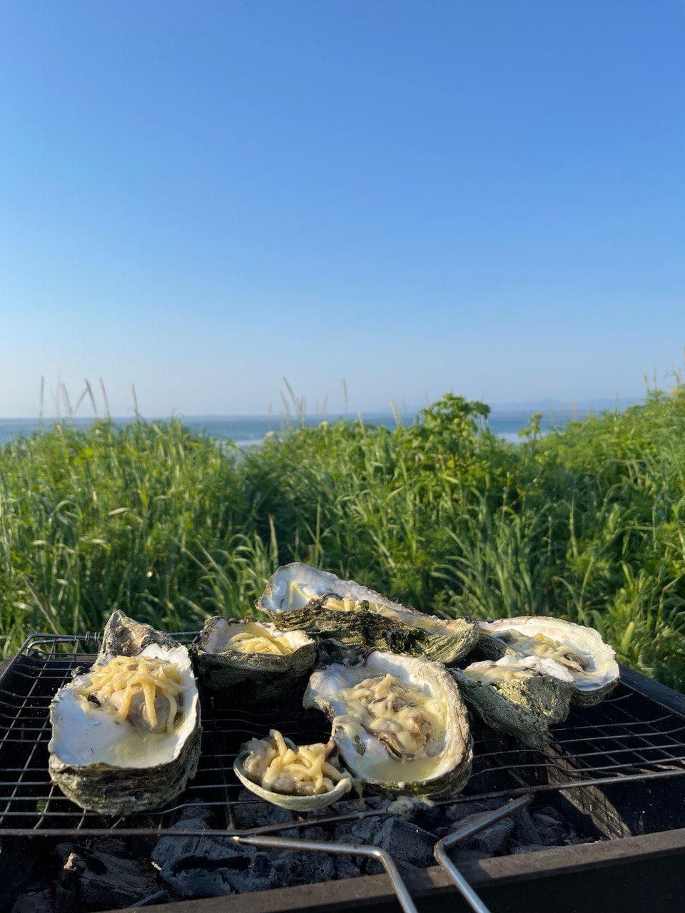 Маяк Анива и Лагуна Буссе - фото 4