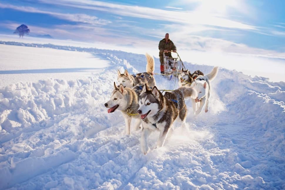 Авторский тур «Зимняя сказка Байкала» - фото 7