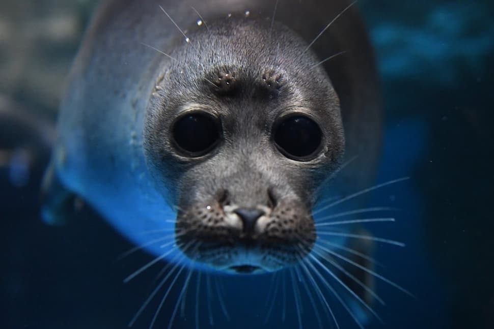 Авторский тур «Зимняя сказка Байкала» - фото 10