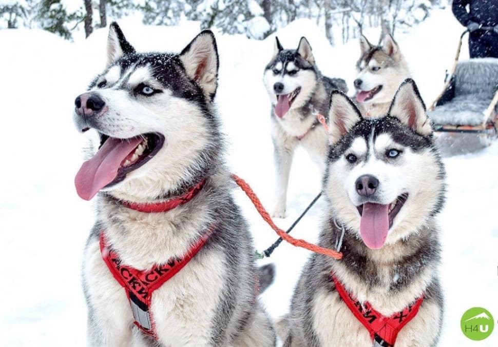 Авторский тур «Зимняя сказка Байкала» - фото 11