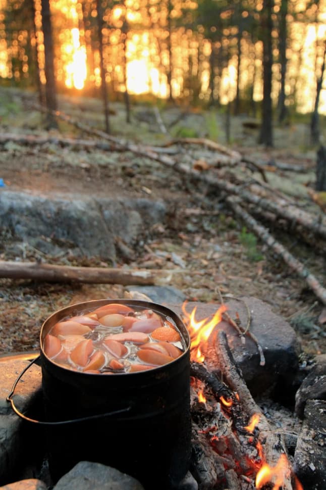 Ладожский берег. Пеший поход с палатками из Санкт-Петербурга - фото 3