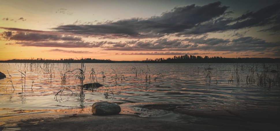 Ладожский берег. Пеший поход с палатками из Санкт-Петербурга - фото 4