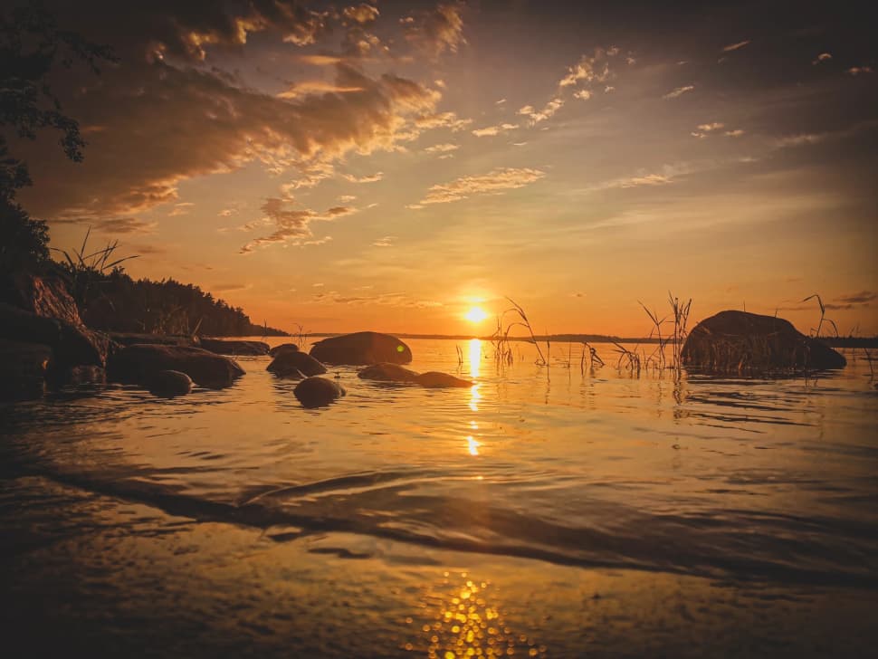 Ладожский берег. Пеший поход с палатками из Санкт-Петербурга - фото 5