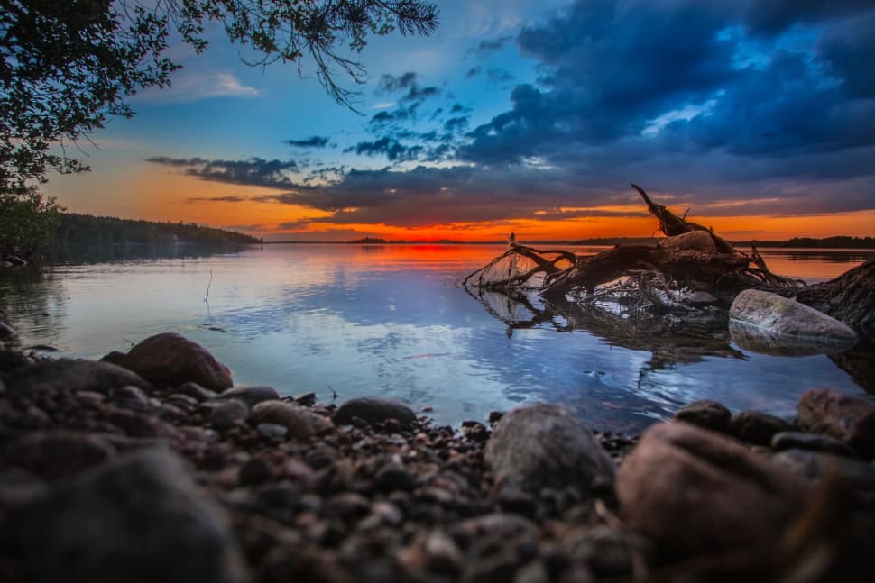 Ладожский берег. Пеший поход с палатками из Санкт-Петербурга - фото 7