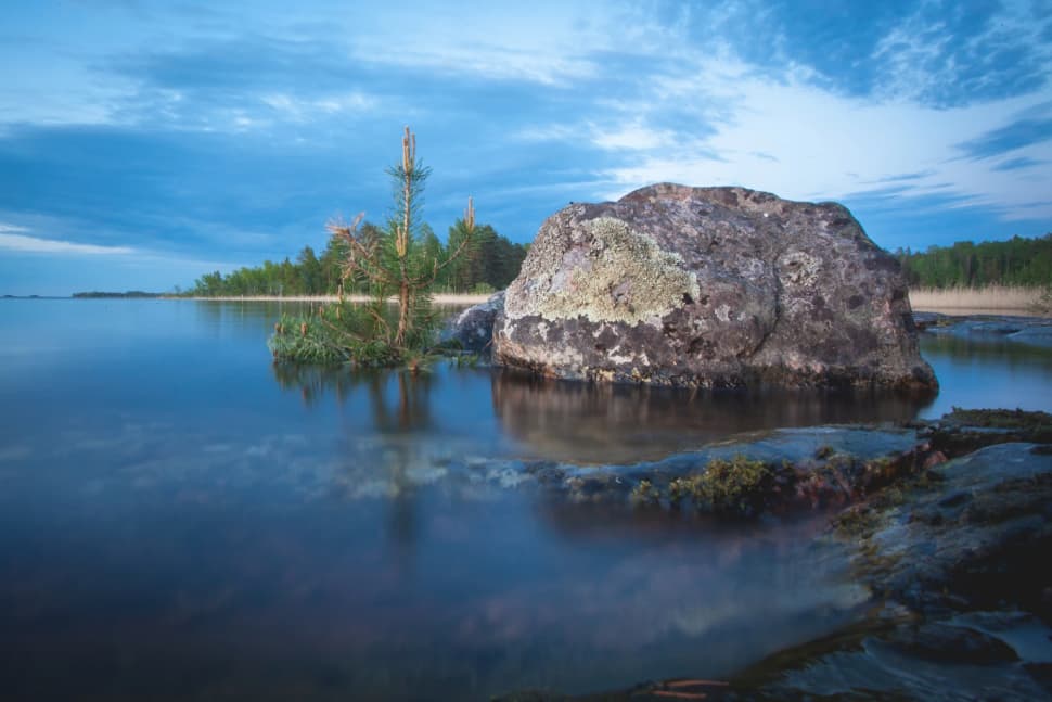 Ладожский берег. Пеший поход с палатками из Санкт-Петербурга - фото 8