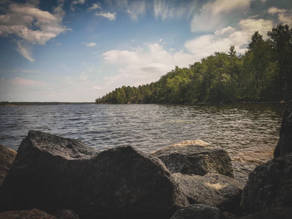 Ладожский берег. Пеший поход с палатками из Санкт-Петербурга - фото 11