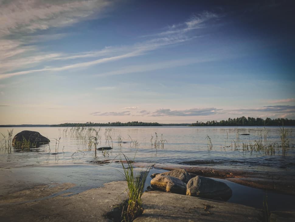 Ладожский берег. Пеший поход с палатками из Санкт-Петербурга - фото 12