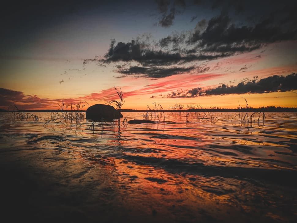 Ладожский берег. Пеший поход с палатками из Санкт-Петербурга - фото 13