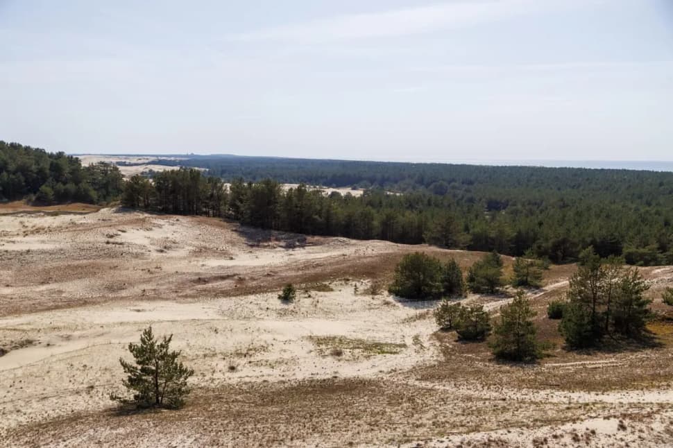 Балтийский экспресс на 7 дней - фото 8