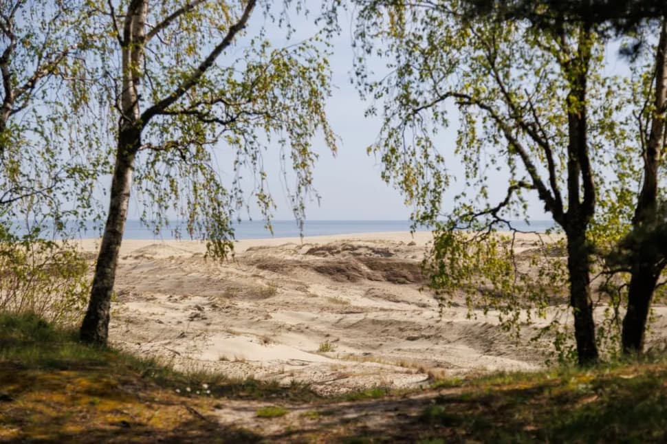 БАЛТИЙСКИЙ ЭКСПРЕСС НА 4 ДНЯ - фото 18