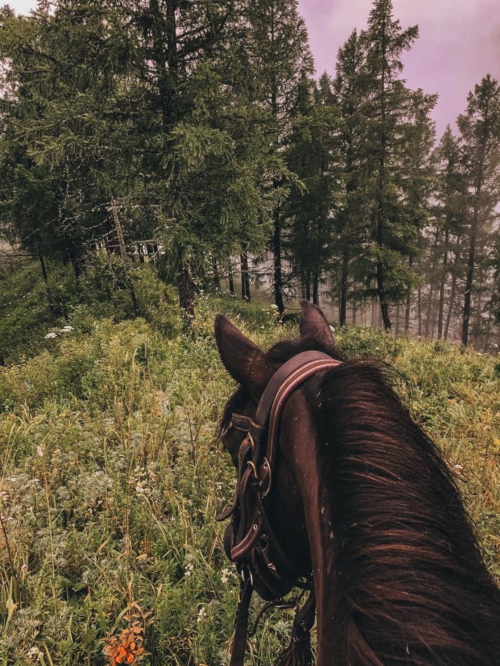 «К священному озеру Манас» - фото 3