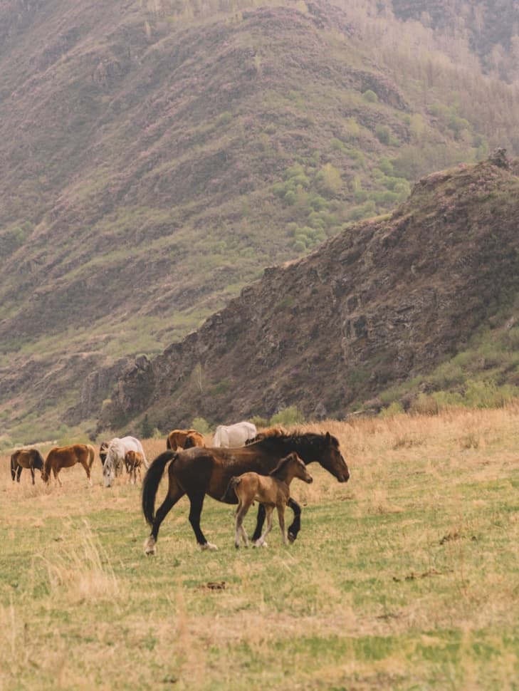 «К священному озеру Манас» - фото 7