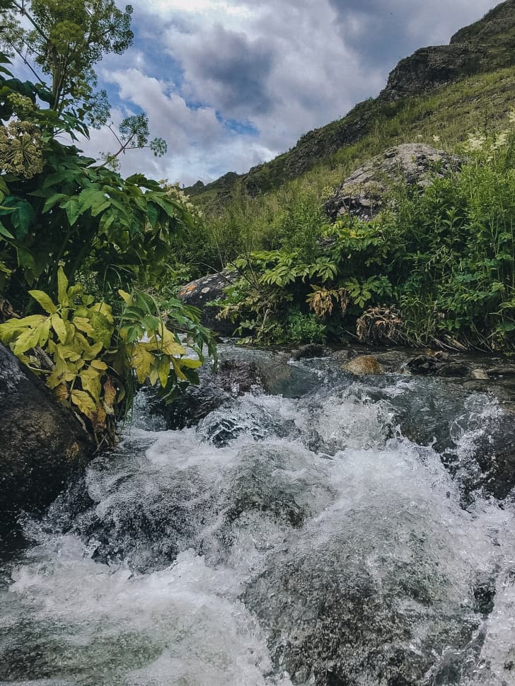 «6 дней в горной тайге» - фото 4