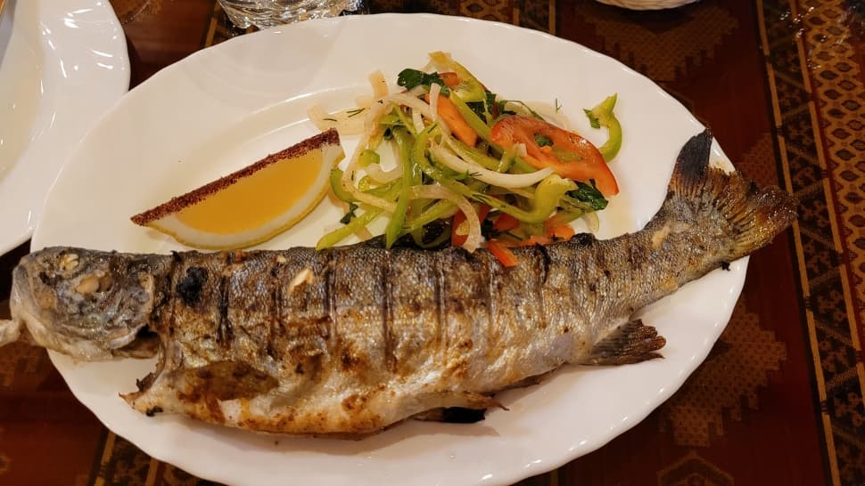 Сказочные каникулы в Дагестане - фото 11